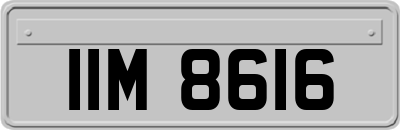 IIM8616