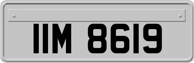IIM8619