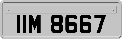 IIM8667