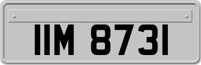 IIM8731
