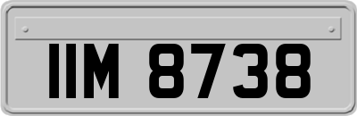IIM8738
