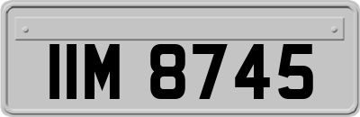 IIM8745