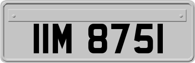 IIM8751
