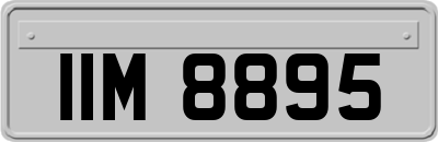 IIM8895
