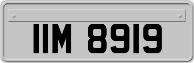 IIM8919