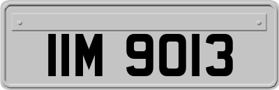 IIM9013