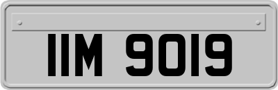 IIM9019