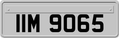 IIM9065