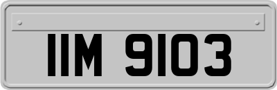 IIM9103