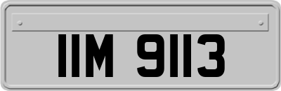 IIM9113