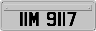 IIM9117