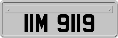 IIM9119