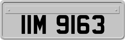 IIM9163