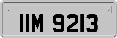 IIM9213