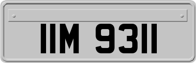 IIM9311