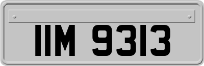 IIM9313