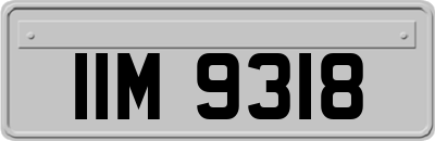 IIM9318