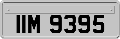 IIM9395