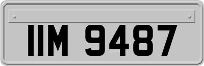 IIM9487