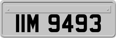 IIM9493