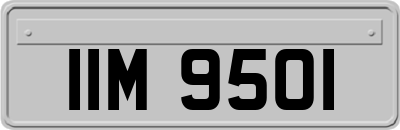 IIM9501