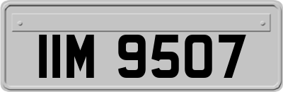 IIM9507