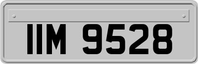 IIM9528
