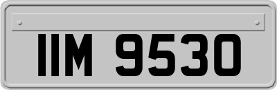 IIM9530