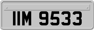 IIM9533