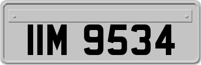 IIM9534