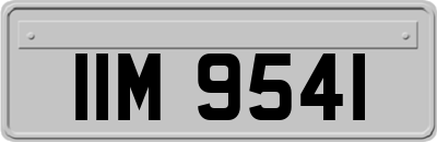 IIM9541