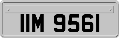 IIM9561