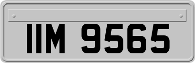IIM9565