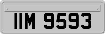 IIM9593