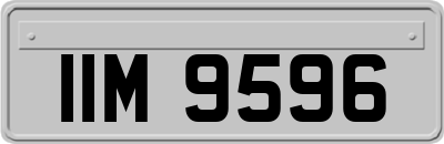 IIM9596