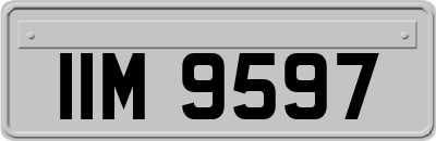 IIM9597