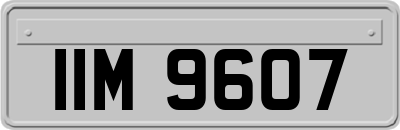 IIM9607