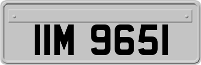 IIM9651