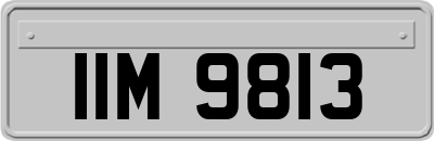 IIM9813