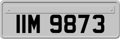 IIM9873