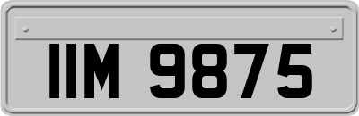 IIM9875