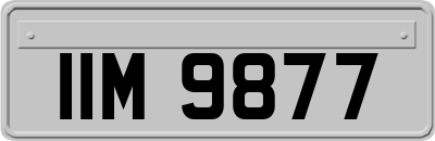 IIM9877