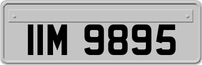 IIM9895