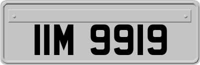 IIM9919