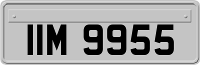 IIM9955