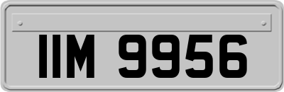IIM9956