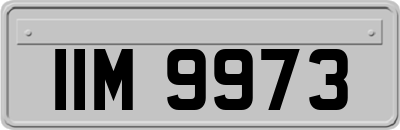 IIM9973