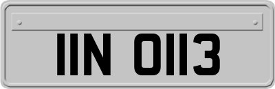 IIN0113