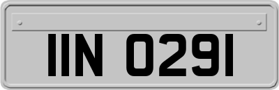 IIN0291