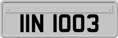 IIN1003